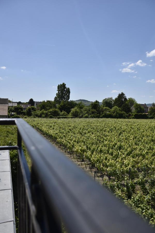 Manoir Henri Giraud & Spa Ay-Champagne Dış mekan fotoğraf